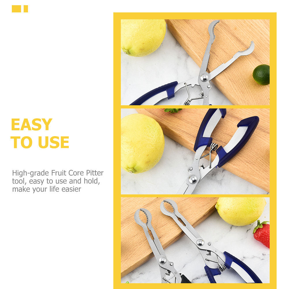 ที่ตัดแกนผลไม้สแตนเลสแบบมือถือ - Kitchen Gadgets And Tools บทวิจารณ์และราคา